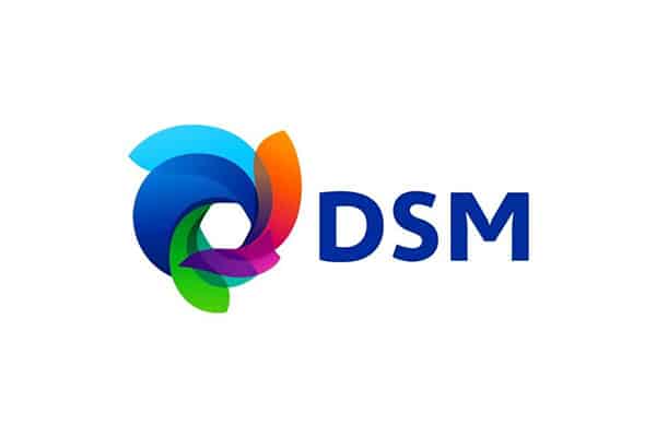 DSM-logo